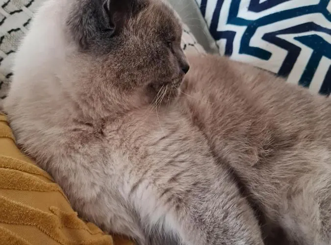 Cosy Holiday home Pons